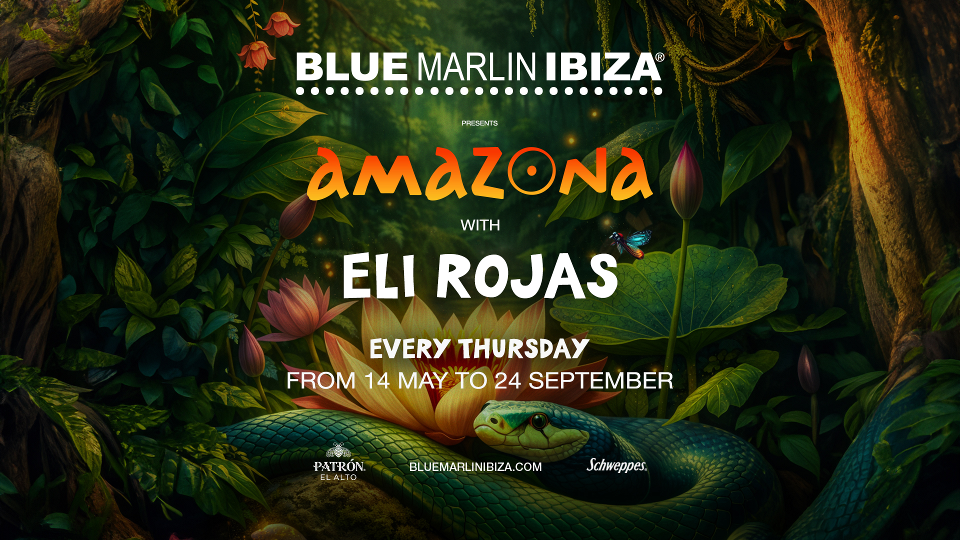 Amazona
